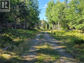 67 Hannah Road Dufferin New Brunswick photo 4
