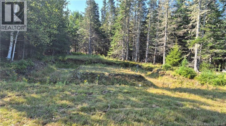 67 Hannah Road, Dufferin, New Brunswick, E3L3S3
