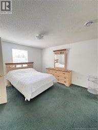 733 Williston Drive Miramichi New Brunswick photo 5