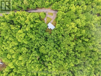 1354 CLEAR LAKE ROAD Minden Hills (Lutterworth) Ontario photo 36