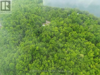 1354 CLEAR LAKE ROAD Minden Hills (Lutterworth) Ontario photo 7