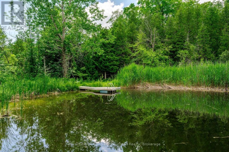 154 COLLIN ROAD, Alnwick/Haldimand, Ontario, K0K2G0