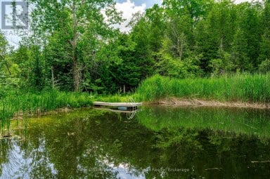 154 COLLIN ROAD Alnwick/Haldimand Ontario photo 42