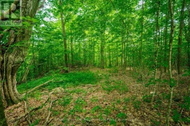 154 COLLIN ROAD Alnwick/Haldimand Ontario photo 46