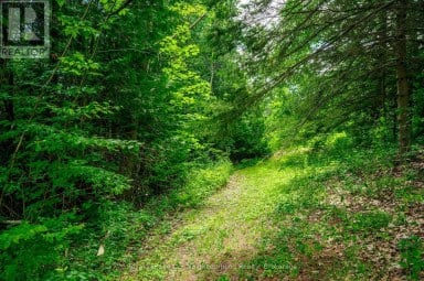 154 COLLIN ROAD Alnwick/Haldimand Ontario photo 47