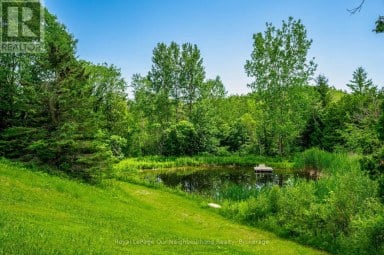 154 COLLIN ROAD Alnwick/Haldimand Ontario photo 49