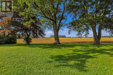 41851 FERGUSON LINE Southwold Ontario photo 22