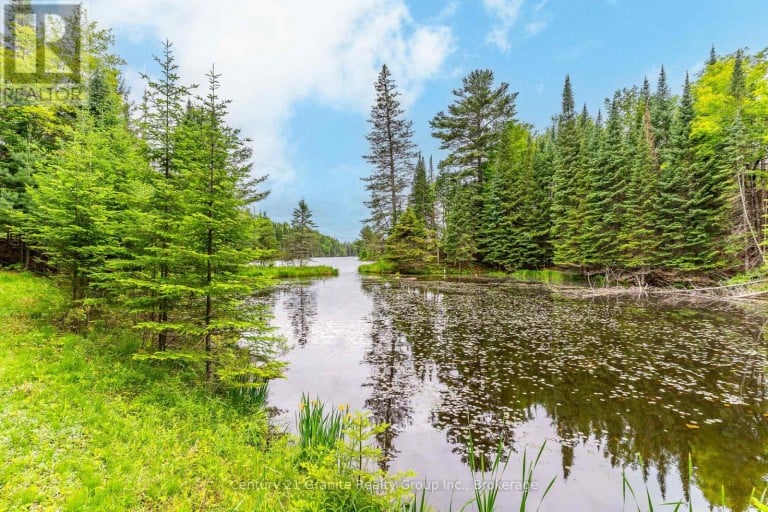 1003 PONTIAC DRIVE, Minden Hills (Minden), Ontario, K0M2K0