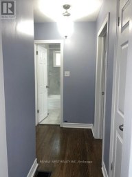 241 ASHLAR ROAD Richmond Hill (Crosby) Ontario photo 14