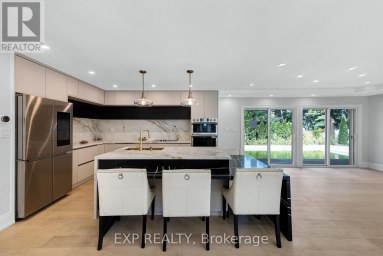 388 BOUCHIER STREET Georgina (Historic Lakeshore Communities) Ontario photo 8