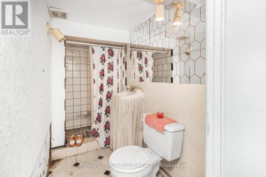 39 ARTHUR AVENUE N Hamilton (Gibson) Ontario photo 36