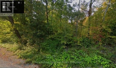 0 NORTHERN AVENUE Trent Lakes Ontario photo 2