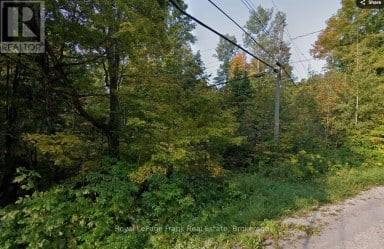 0 NORTHERN AVENUE Trent Lakes Ontario photo 3