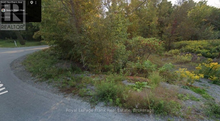 0 NORTHERN AVENUE, Trent Lakes, Ontario, K0L1J0