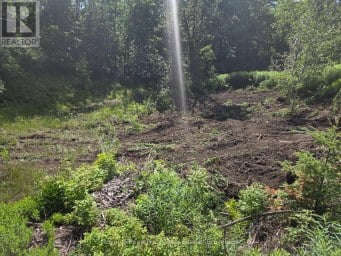 0 NORTHERN AVENUE Trent Lakes Ontario photo 5