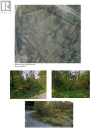 0 NORTHERN AVENUE Trent Lakes Ontario photo 6