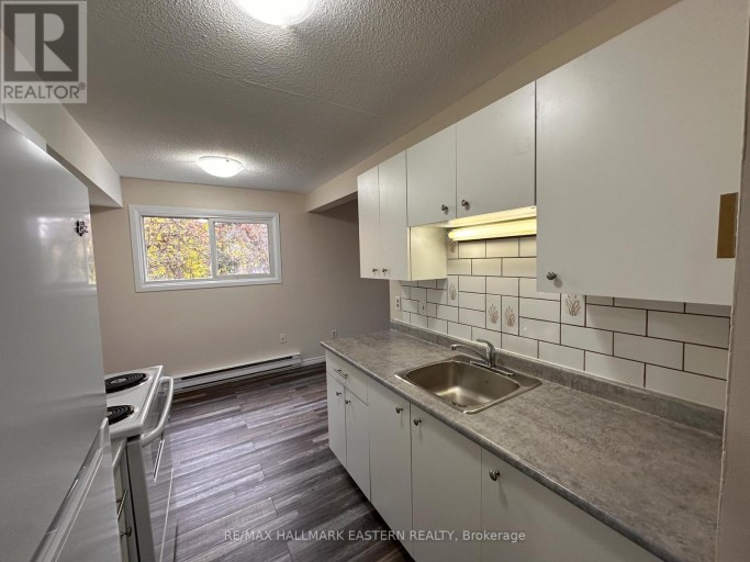 203 - 106 LANSDOWNE STREET, Peterborough (Town Ward 3), Ontario, K9J1Y1