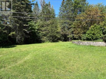 38871 COMBERMERE ROAD Madawaska Valley Ontario photo 18
