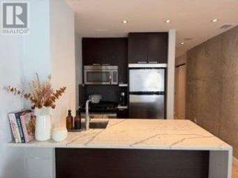 309 - 138 PRINCESS STREET Toronto (Moss Park) Ontario photo 10