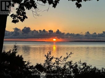 LOT 42 SNAKE ISLAND ROAD Georgina Islands (Snake Island) Ontario photo 42