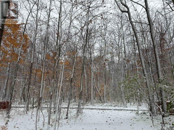 LOT 42 SNAKE ISLAND ROAD, Georgina Islands (Snake Island), Ontario, L4P3E9