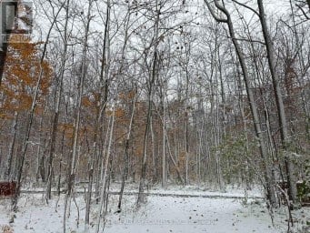 LOT 42 SNAKE ISLAND ROAD Georgina Islands (Snake Island) Ontario photo 44