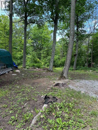LOT 42 SNAKE ISLAND ROAD, Georgina Islands (Snake Island), Ontario, L4P3E9
