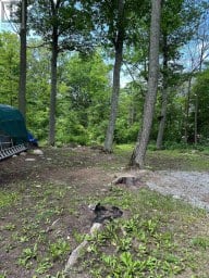 LOT 42 SNAKE ISLAND ROAD Georgina Islands (Snake Island) Ontario photo 49