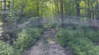 LOT 42 SNAKE ISLAND ROAD Georgina Islands (Snake Island) Ontario photo 50