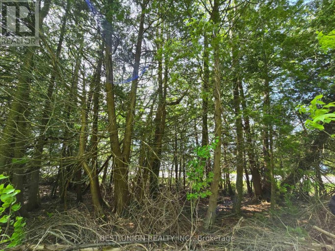 LOT1 RED BAY ROAD, South Bruce Peninsula, Ontario, N0H2T0