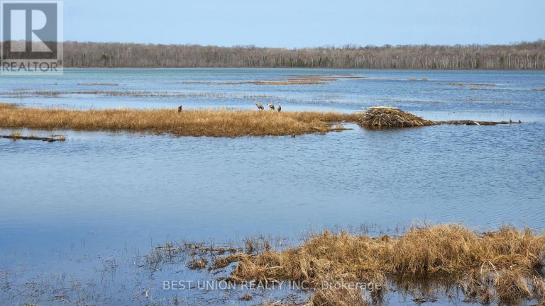 LOT1 RED BAY ROAD, South Bruce Peninsula, Ontario, N0H2T0