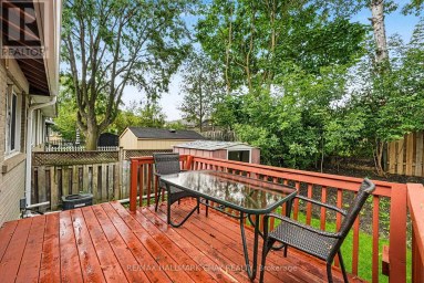 84 LONGFORD DRIVE Newmarket (Bristol-London) Ontario photo 22