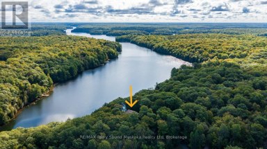 326 BLUE LAKE ROAD Seguin Ontario photo 48