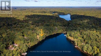 326 BLUE LAKE ROAD Seguin Ontario photo 49