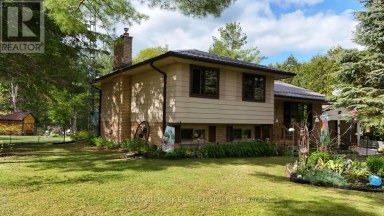 784 OLD NORWOOD ROAD Havelock-Belmont-Methuen (Belmont-Methuen) Ontario photo 3