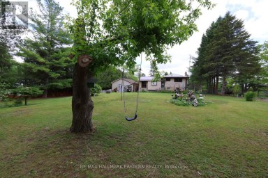 784 OLD NORWOOD ROAD Havelock-Belmont-Methuen (Belmont-Methuen) Ontario photo 37