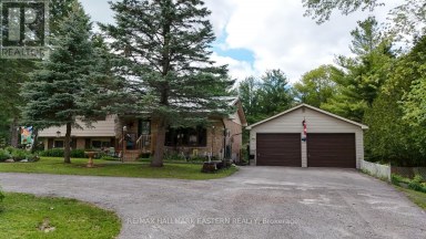 784 OLD NORWOOD ROAD Havelock-Belmont-Methuen (Belmont-Methuen) Ontario photo 4