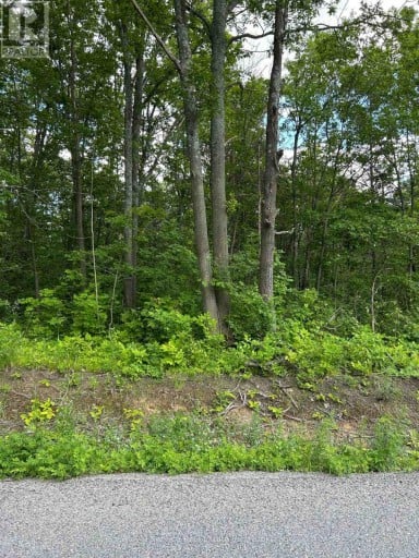 100, 104, AND 106 DINGMAN ROAD, Cramahe, Ontario, K0K1M0