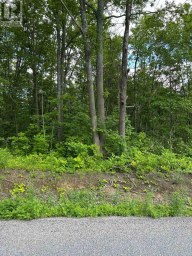100, 104, AND 106 DINGMAN ROAD Cramahe Ontario photo 1