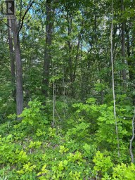 101, 102 AND 103 DINGMAN ROAD Cramahe Ontario photo 1