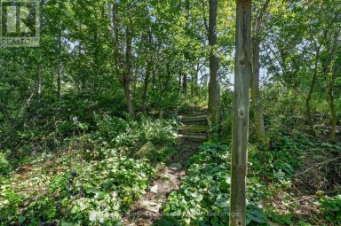 1080 TILLISON AVENUE Cobourg Ontario photo 45