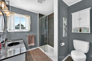 263 RICHMOND STREET North Middlesex (Parkhill) Ontario photo 16