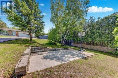 4409 HILL STREET Clarington Ontario photo 11