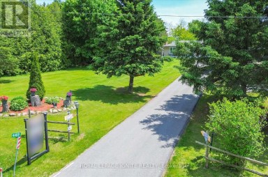 4409 HILL STREET Clarington Ontario photo 8