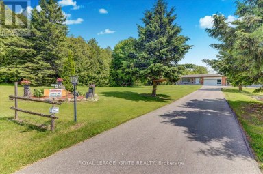 4409 HILL STREET Clarington Ontario photo 9