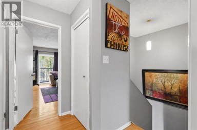 3101 41 Street SW Calgary Alberta photo 13