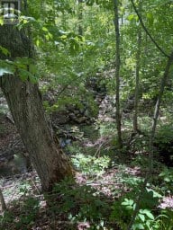 559 COUNTY ROAD 47 ROAD N Havelock-Belmont-Methuen (Belmont-Methuen) Ontario photo 36