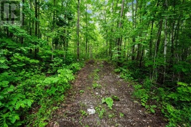 559 COUNTY ROAD 47 ROAD N Havelock-Belmont-Methuen (Belmont-Methuen) Ontario photo 40