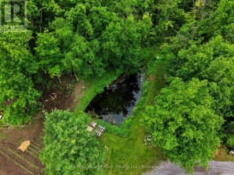 559 COUNTY ROAD 47 ROAD N Havelock-Belmont-Methuen (Belmont-Methuen) Ontario photo 48