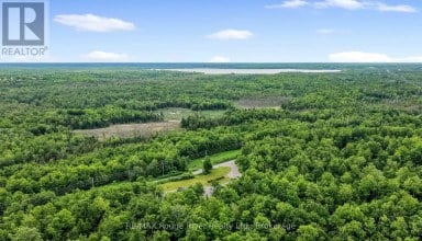 559 COUNTY ROAD 47 ROAD N Havelock-Belmont-Methuen (Belmont-Methuen) Ontario photo 50